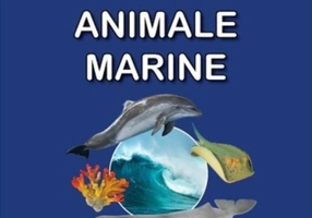 Animale marine. Sunt mic și vreau să aflu