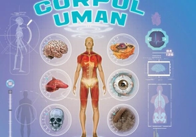 Prima mea enciclopedie. Corpul uman