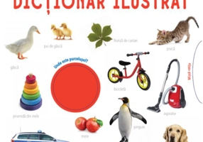 Primul meu dicționar ilustrat