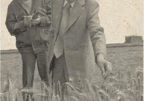 Întâlniri cu Nicolae Ceaușescu