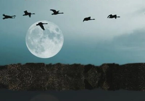 Sentimentul de acasă