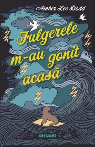 Fulgerele m-au gonit acasă