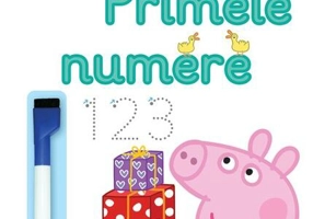 Scrie și șterge! Primele numere