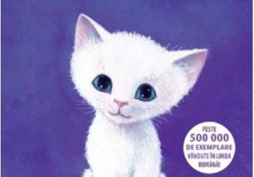 Flower, pisicuța perfectă