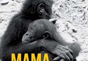 Mama. Ultima îmbrățișare