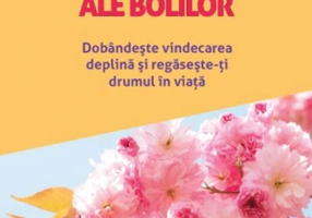 Mesajele ascunse ale bolilor. Dobândește vindecarea deplină și regăsește-ți drumul în viață