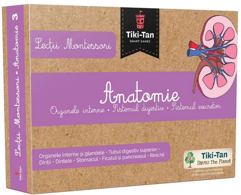 Lecţii de anatomie: Organe interne. Sistemul digestiv. Lecții Montessori