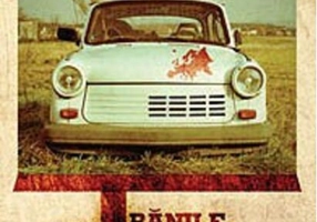 Rănile bătrânului continent