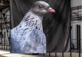 Revista ARTA # 42-43/2020