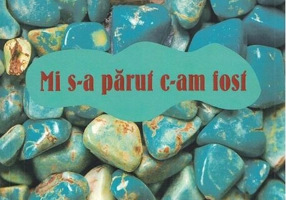 Mi s-a părut c-am fost