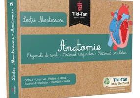 Lecţii de anatomie: Organe de simţ. Sistemul respirator. Sistemul circulator. Lecții Montessori