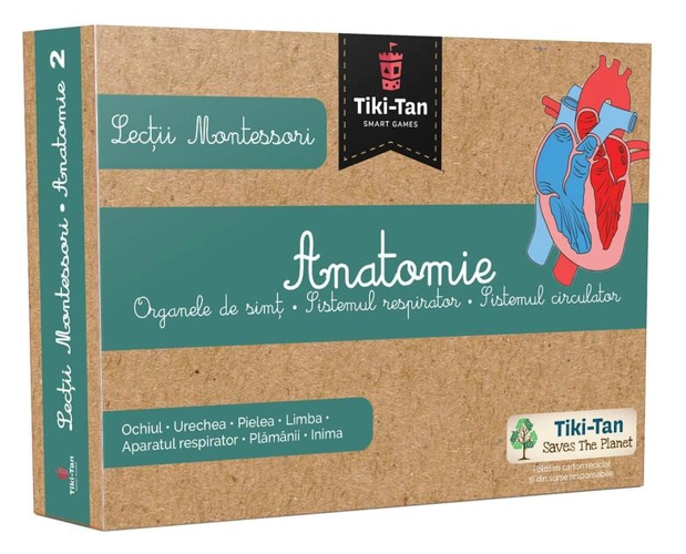 Lecţii de anatomie: Organe de simţ. Sistemul respirator. Sistemul circulator. Lecții Montessori