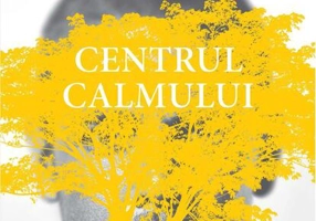 Centrul calmului