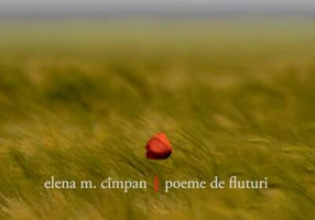 Poeme de fluturi