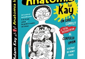 Anatomia lui Kay