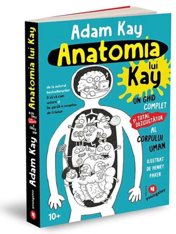 Anatomia lui Kay