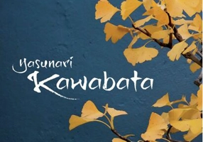 Jurnal de la șaisprezece ani. Adolescentul