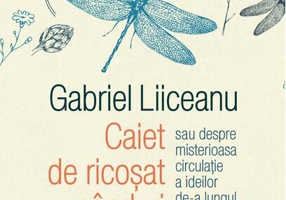 Caiet de ricoșat gânduri