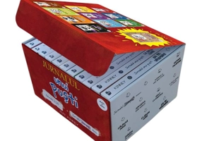 Set Jurnalul unui puști (Vol. 1-10 + Jurnalul meu) - PB