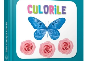 Culorile. Bebe cunoaște