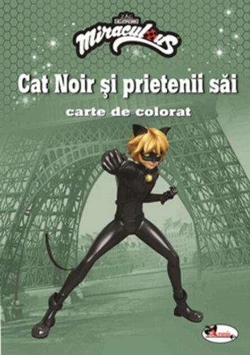 Cat Noir și prietenii săi. Carte de colorat