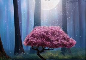 Vindecă-ți rănile din familie. Cum să te eliberezi de suferință