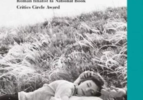 Spre țărmul ocrotit