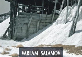 Povestiri din Kolîma (Vol. II)