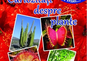 Curiozități despre plante
