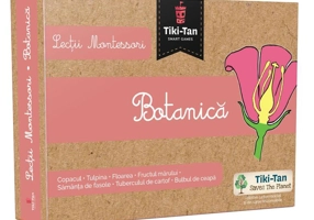 Lecţii de botanică. Lecții Montessori