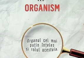 Viața și importanța grăsimii în organism