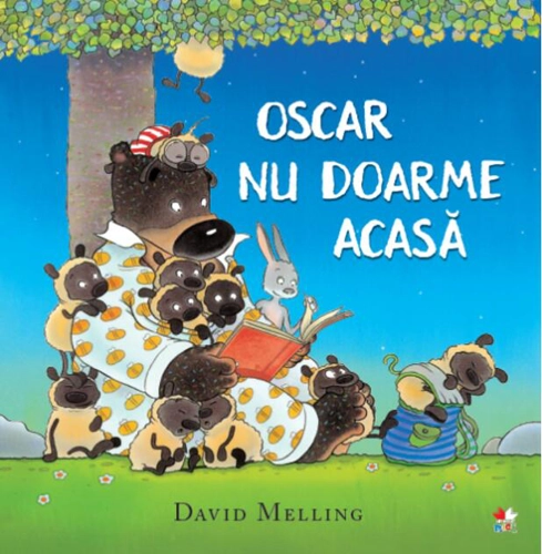 Oscar nu doarme acasă