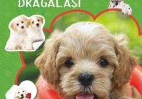 Cartea mea cu abțibilduri distractive. Cățeluși drăgălași