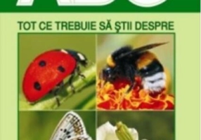 Tot ce trebuie să știi despre insecte