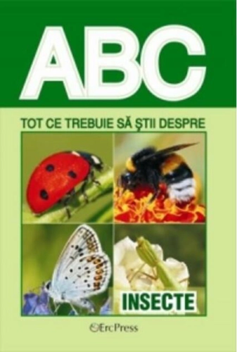 Tot ce trebuie să știi despre insecte