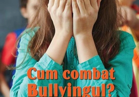 Cum combat bullyingul?