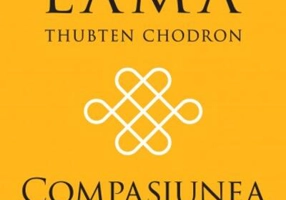 Compasiunea infinită