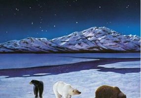 Insula stelelor. Exploratorii (Vol. 6)