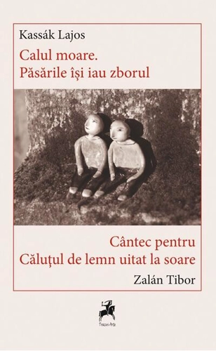 Calul Moare. Păsările îsi iau Zborul - Cântec pentru căluțul de lemn uitat la soare