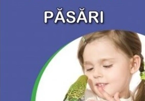 Păsări. Sunt mic și vreau să aflu