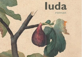 Iuda