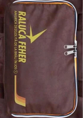 America dezgolită de la brâu în jos (Vol. 1)