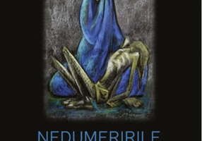 Nedumeririle bunului-simţ