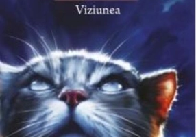 Viziunea (Vol.13)