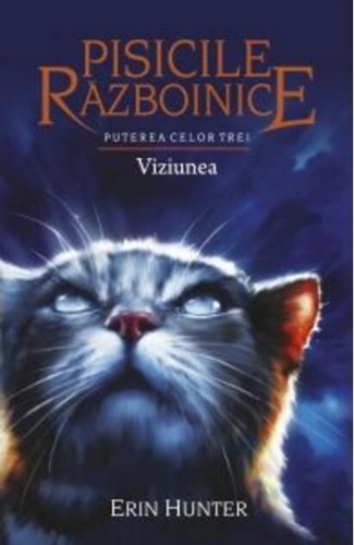 Viziunea (Vol.13)