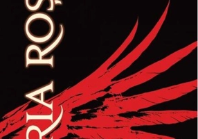 Furia Roșie (Vol. 1) - HC