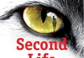 Second Life