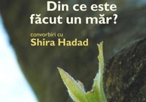 Din ce este făcut un măr?