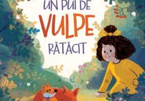 Un pui de vulpe rătăcit