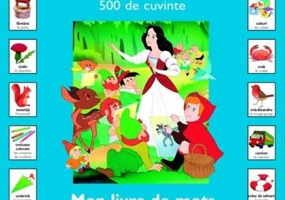 Micul meu dicționar Român-Francez (500 de cuvinte)